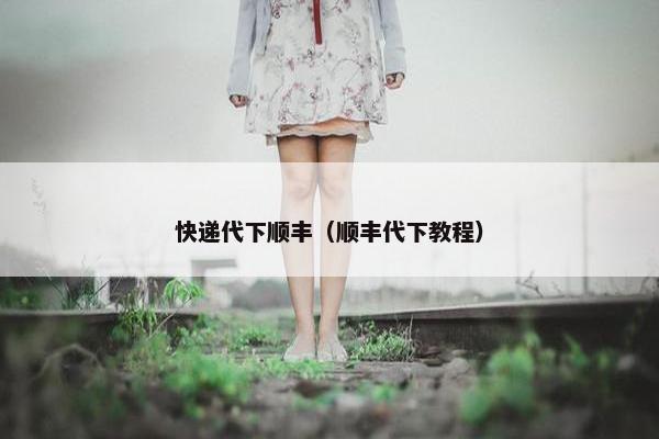 快递代下顺丰（顺丰代下教程）