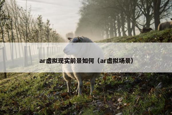 ar虚拟现实前景如何（ar虚拟场景）
