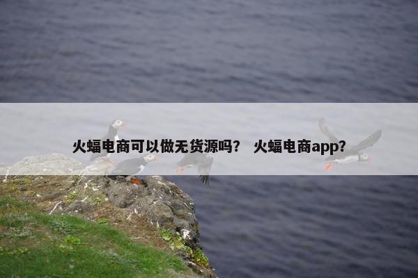 火蝠电商可以做无货源吗？ 火蝠电商app？