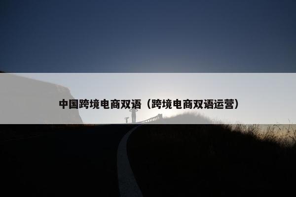 中国跨境电商双语（跨境电商双语运营）