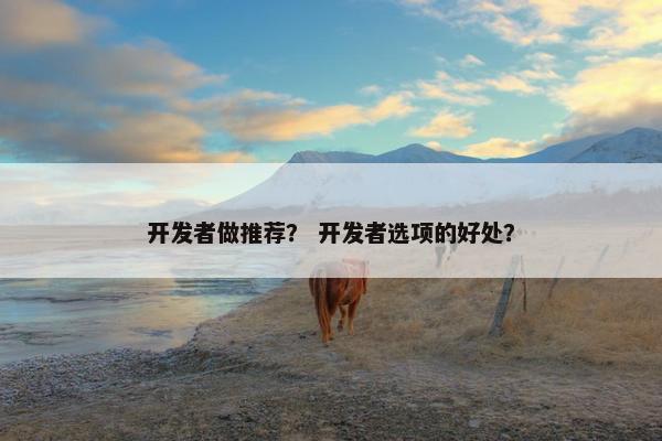 开发者做推荐？ 开发者选项的好处？