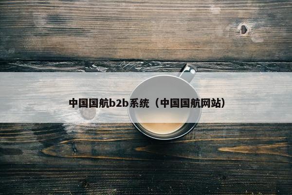 中国国航b2b系统（中国国航网站）