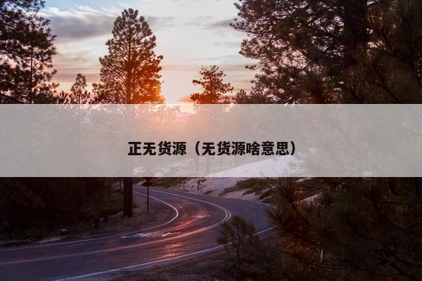 正无货源（无货源啥意思）