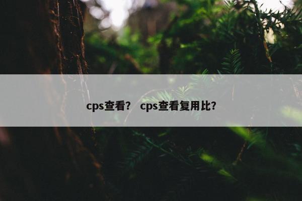cps查看？ cps查看复用比？