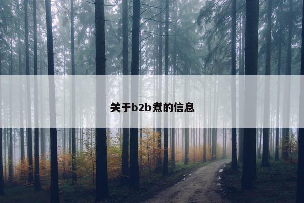 关于b2b煮的信息