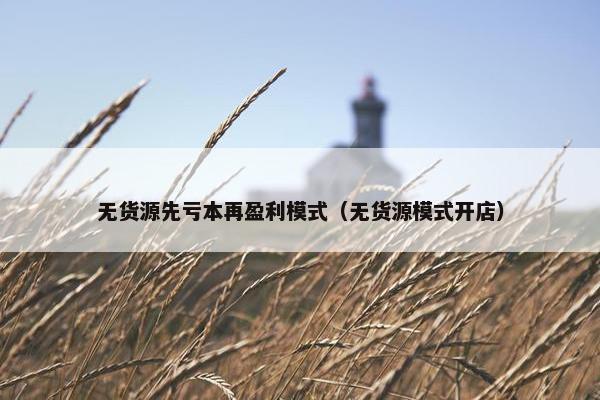 无货源先亏本再盈利模式（无货源模式开店）