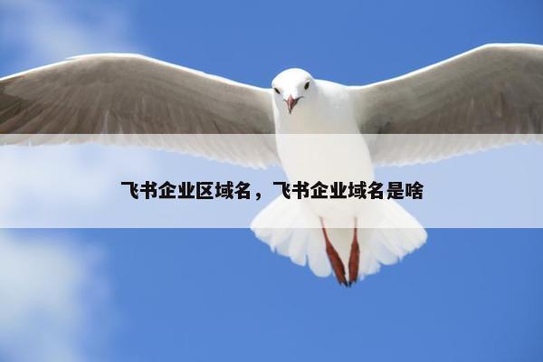 飞书企业区域名，飞书企业域名是啥