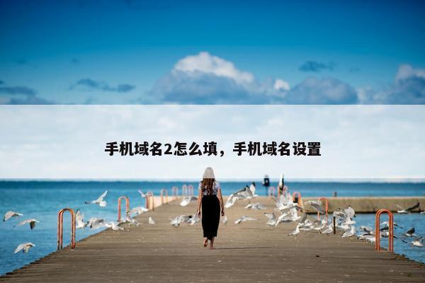手机域名2怎么填，手机域名设置