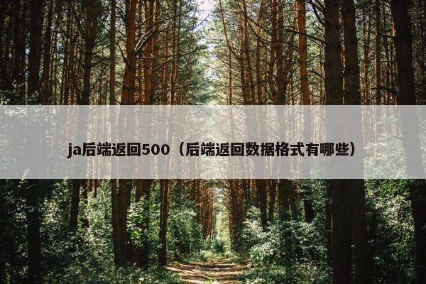 ja后端返回500（后端返回数据格式有哪些）