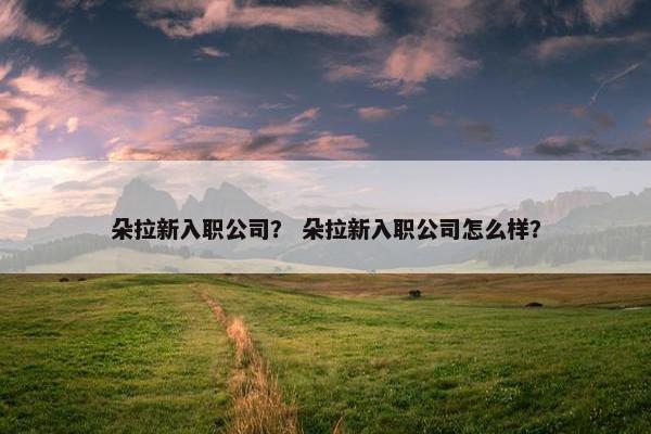 朵拉新入职公司？ 朵拉新入职公司怎么样？