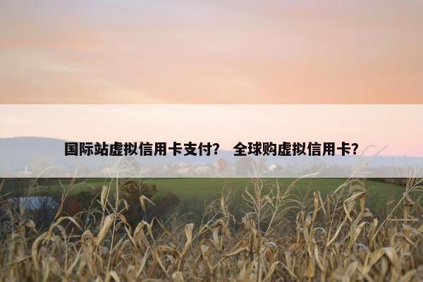 国际站虚拟信用卡支付？ 全球购虚拟信用卡？