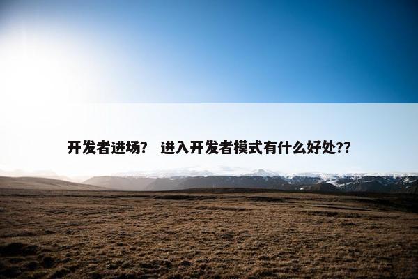 开发者进场？ 进入开发者模式有什么好处?？