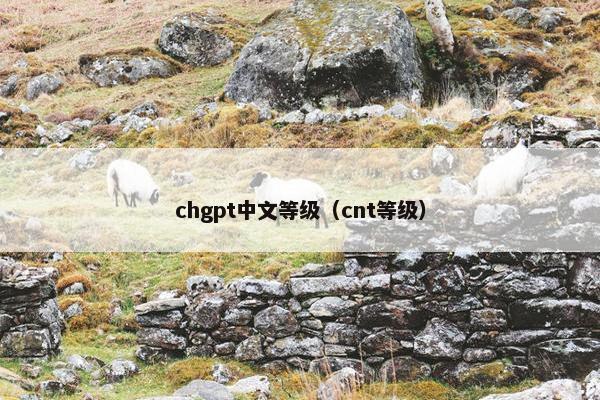 chgpt中文等级（cnt等级）