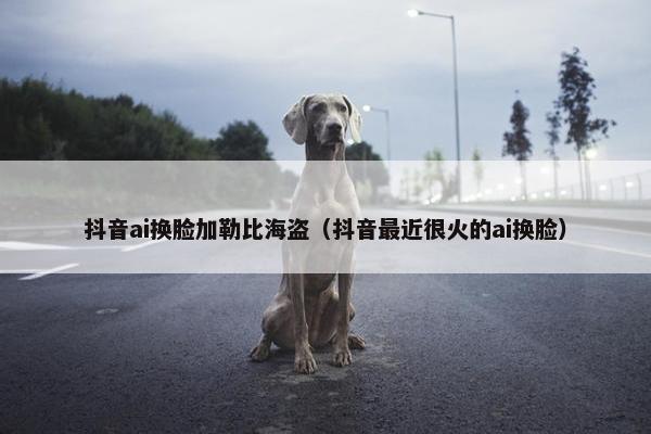 抖音ai换脸加勒比海盗（抖音最近很火的ai换脸）