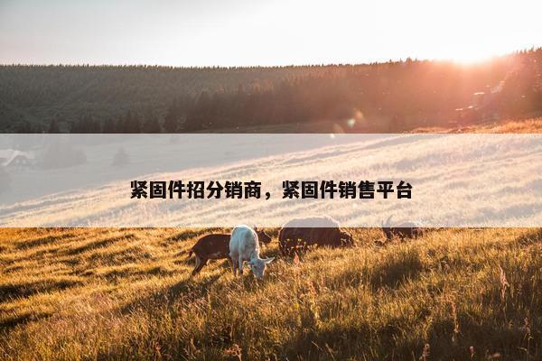 紧固件招分销商，紧固件销售平台