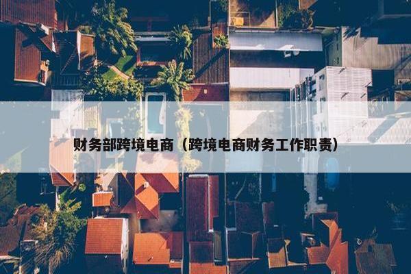 财务部跨境电商（跨境电商财务工作职责）