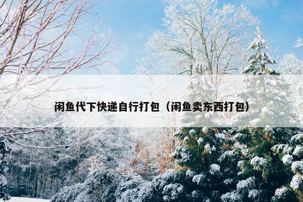 闲鱼代下快递自行打包（闲鱼卖东西打包）