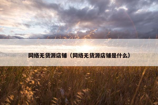 网络无货源店铺（网络无货源店铺是什么）
