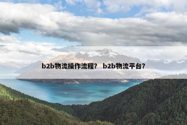 b2b物流操作流程？ b2b物流平台？