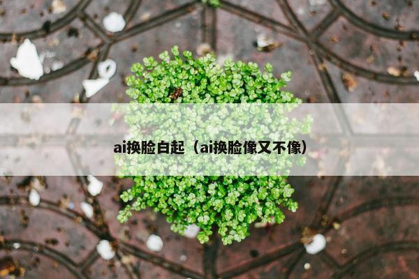 ai换脸白起（ai换脸像又不像）
