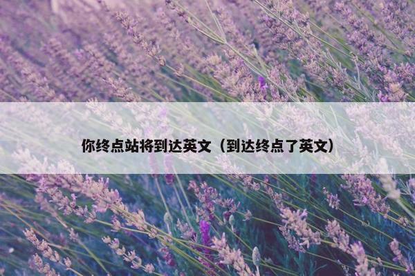 你终点站将到达英文（到达终点了英文）