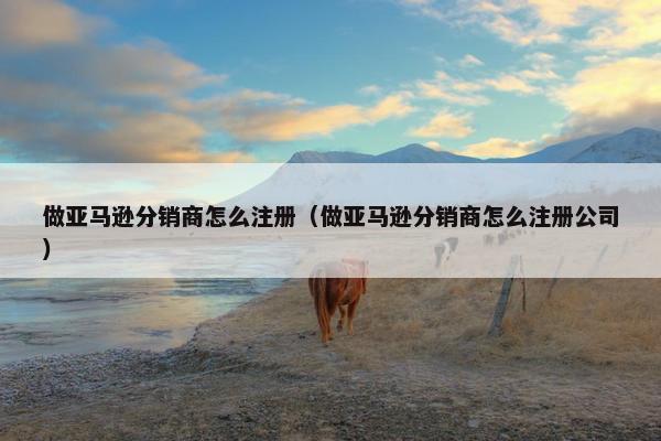 做亚马逊分销商怎么注册（做亚马逊分销商怎么注册公司）