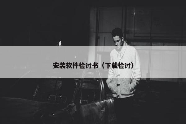 安装软件检讨书（下载检讨）