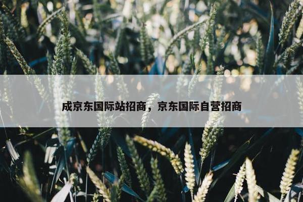 成京东国际站招商，京东国际自营招商
