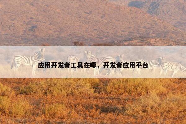 应用开发者工具在哪，开发者应用平台