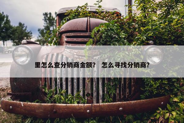 里怎么查分销商金额？ 怎么寻找分销商？