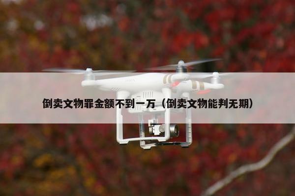 倒卖文物罪金额不到一万（倒卖文物能判无期）