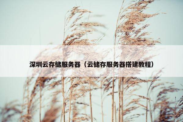 深圳云存储服务器（云储存服务器搭建教程）