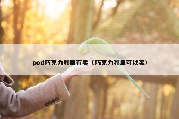 pod巧克力哪里有卖（巧克力哪里可以买）