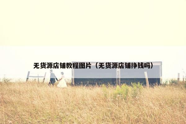 无货源店铺教程图片（无货源店铺挣钱吗）