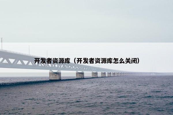 开发者资源库（开发者资源库怎么关闭）