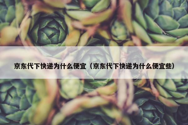 京东代下快递为什么便宜（京东代下快递为什么便宜些）