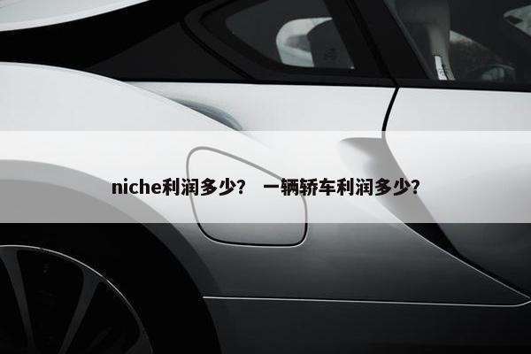 niche利润多少？ 一辆轿车利润多少？