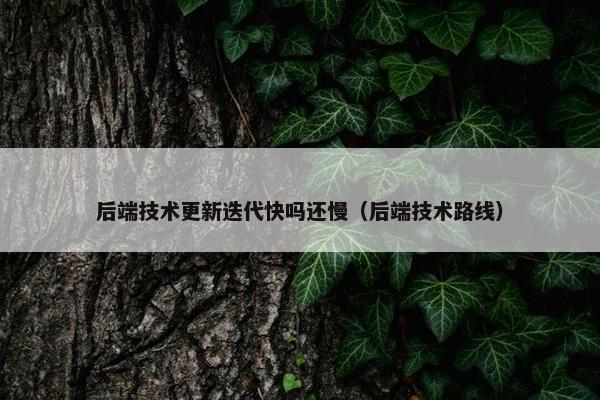 后端技术更新迭代快吗还慢（后端技术路线）