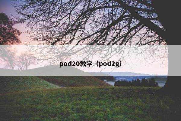 pod20教学（pod2g）
