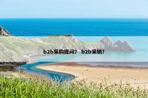 b2b采购提问？ b2b采销？