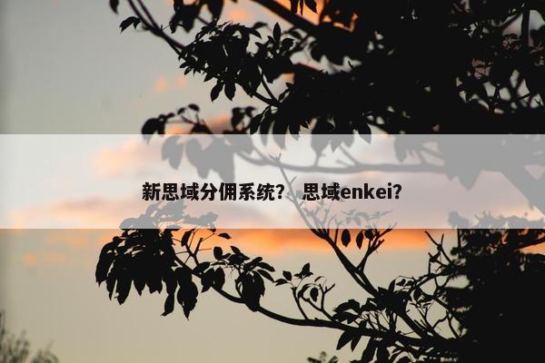 新思域分佣系统？ 思域enkei？