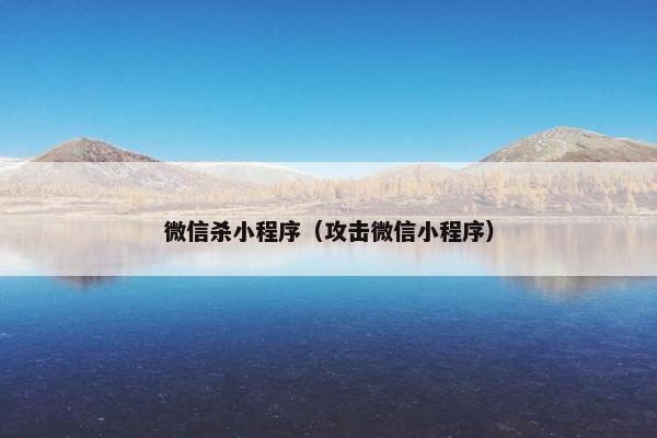 微信杀小程序（攻击微信小程序）