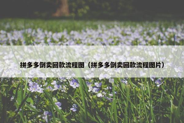 拼多多倒卖回款流程图（拼多多倒卖回款流程图片）