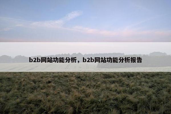 b2b网站功能分析，b2b网站功能分析报告
