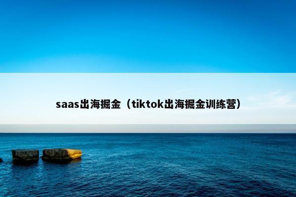 saas出海掘金（tiktok出海掘金训练营）