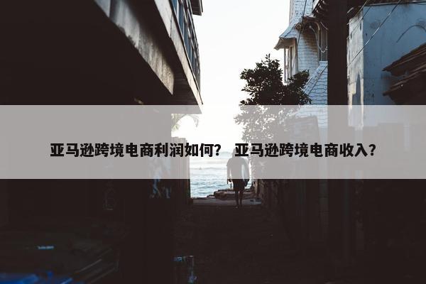 亚马逊跨境电商利润如何？ 亚马逊跨境电商收入？