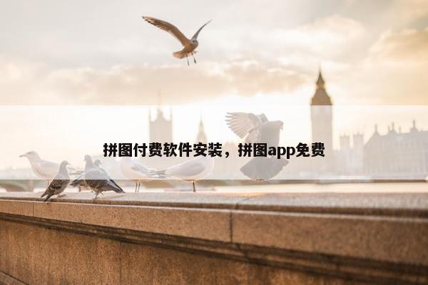 拼图付费软件安装，拼图app免费