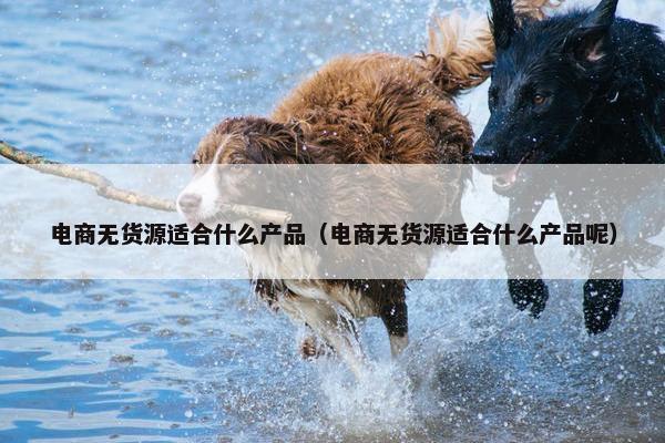电商无货源适合什么产品（电商无货源适合什么产品呢）