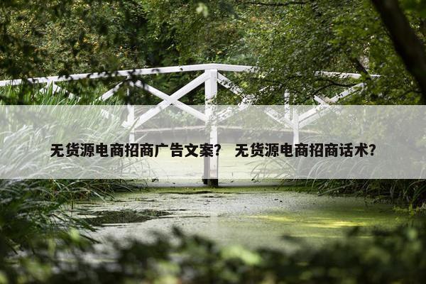 无货源电商招商广告文案？ 无货源电商招商话术？