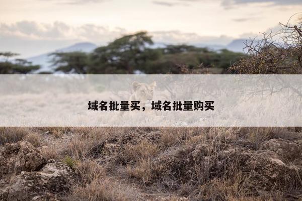 域名批量买，域名批量购买